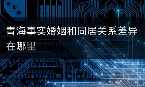 青海事实婚姻和同居关系差异在哪里