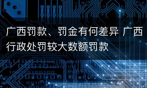 广西罚款、罚金有何差异 广西行政处罚较大数额罚款