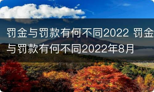 罚金与罚款有何不同2022 罚金与罚款有何不同2022年8月