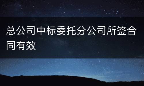 总公司中标委托分公司所签合同有效