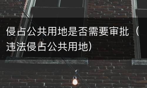 侵占公共用地是否需要审批（违法侵占公共用地）