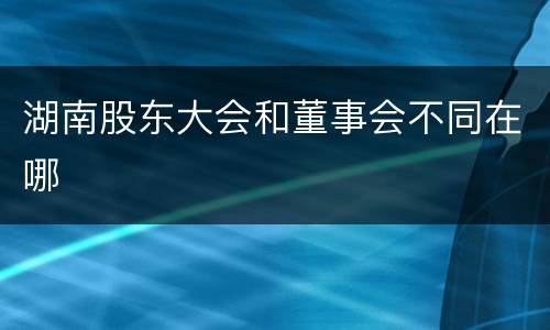 湖南股东大会和董事会不同在哪