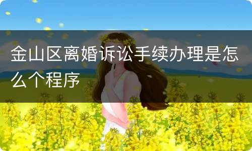 金山区离婚诉讼手续办理是怎么个程序