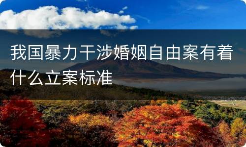 我国暴力干涉婚姻自由案有着什么立案标准