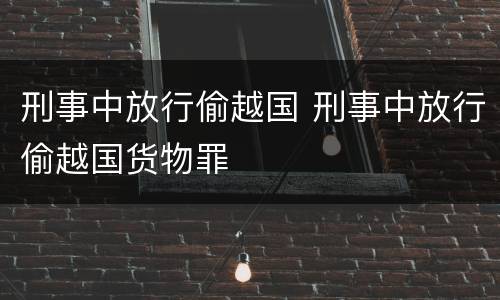 刑事中放行偷越国 刑事中放行偷越国货物罪