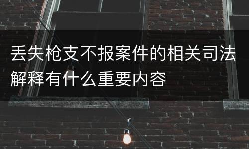 丢失枪支不报案件的相关司法解释有什么重要内容