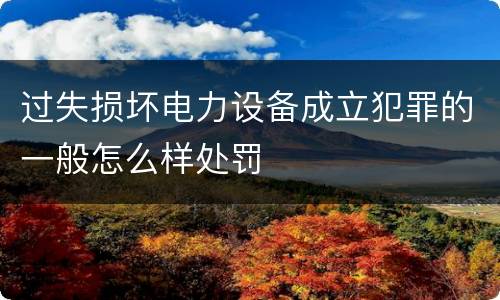 过失损坏电力设备成立犯罪的一般怎么样处罚
