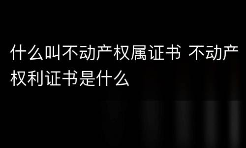 什么叫不动产权属证书 不动产权利证书是什么