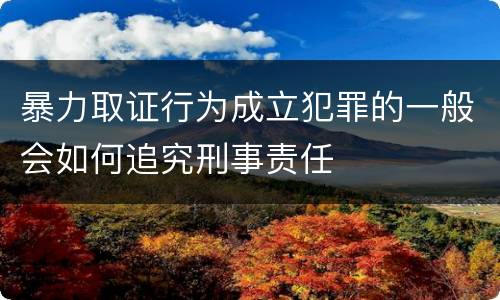 暴力取证行为成立犯罪的一般会如何追究刑事责任