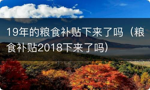 19年的粮食补贴下来了吗（粮食补贴2018下来了吗）