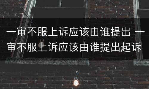 一审不服上诉应该由谁提出 一审不服上诉应该由谁提出起诉