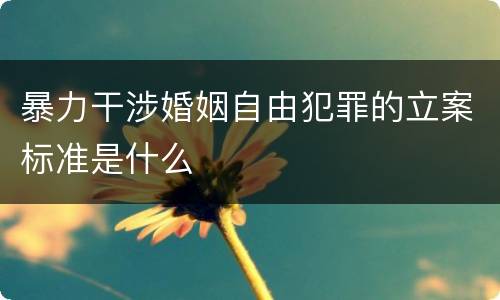 暴力干涉婚姻自由犯罪的立案标准是什么