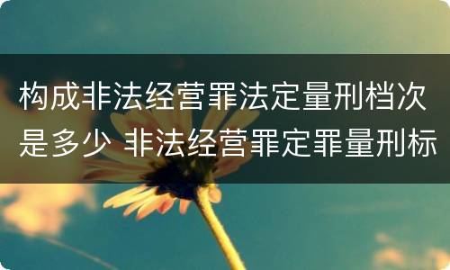 构成非法经营罪法定量刑档次是多少 非法经营罪定罪量刑标准