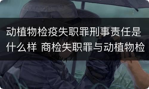 动植物检疫失职罪刑事责任是什么样 商检失职罪与动植物检疫失职罪的区别在于