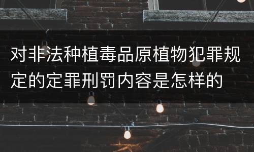 对非法种植毒品原植物犯罪规定的定罪刑罚内容是怎样的