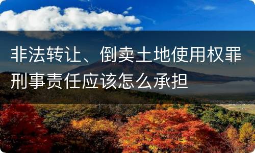 非法转让、倒卖土地使用权罪刑事责任应该怎么承担