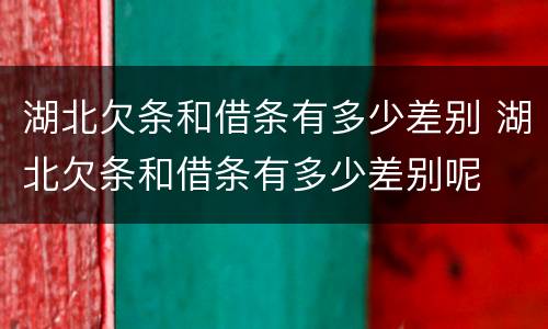 湖北欠条和借条有多少差别 湖北欠条和借条有多少差别呢