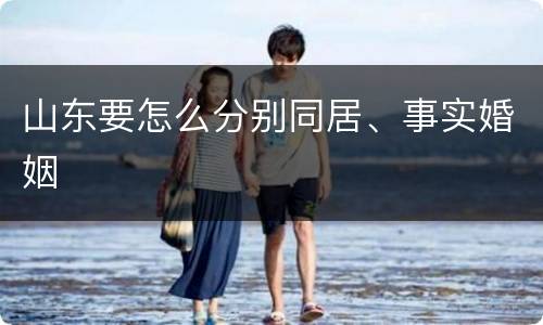 山东要怎么分别同居、事实婚姻