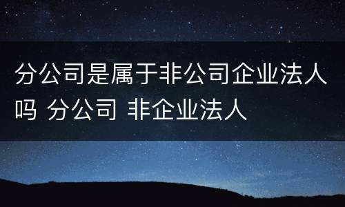 分公司是属于非公司企业法人吗 分公司 非企业法人