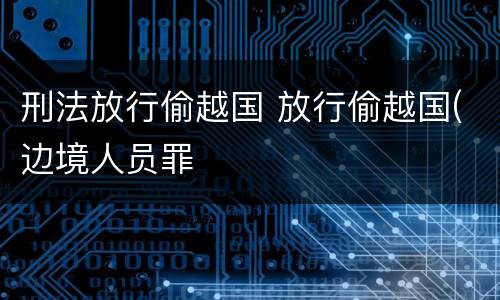 刑法放行偷越国 放行偷越国(边境人员罪