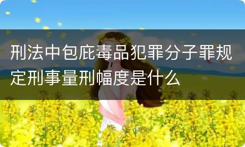 刑法中包庇毒品犯罪分子罪规定刑事量刑幅度是什么