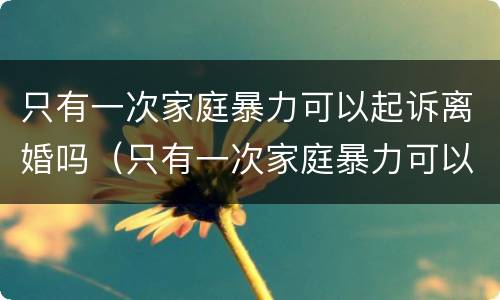 只有一次家庭暴力可以起诉离婚吗（只有一次家庭暴力可以起诉离婚吗法院）