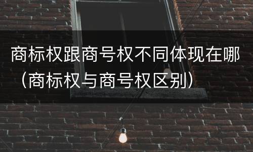 商标权跟商号权不同体现在哪（商标权与商号权区别）