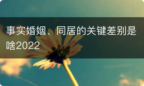 事实婚姻、同居的关键差别是啥2022
