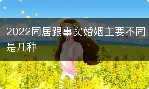 2022同居跟事实婚姻主要不同是几种