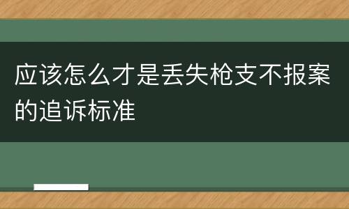 应该怎么才是丢失枪支不报案的追诉标准