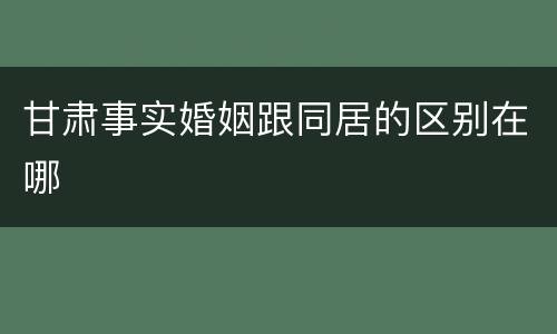 甘肃事实婚姻跟同居的区别在哪