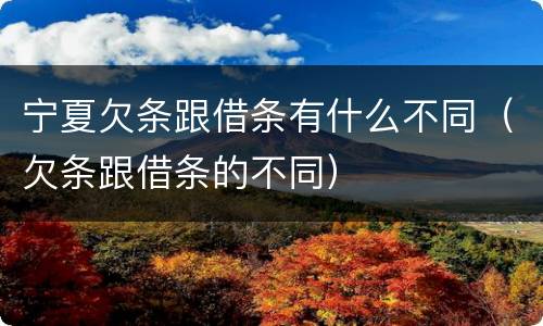 宁夏欠条跟借条有什么不同（欠条跟借条的不同）