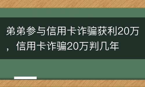 弟弟参与信用卡诈骗获利20万，信用卡诈骗20万判几年