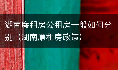 湖南廉租房公租房一般如何分别（湖南廉租房政策）