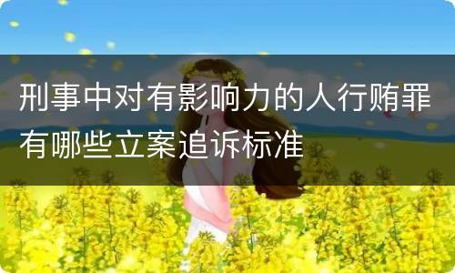 刑事中对有影响力的人行贿罪有哪些立案追诉标准
