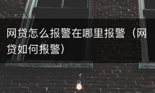网贷怎么报警在哪里报警（网贷如何报警）