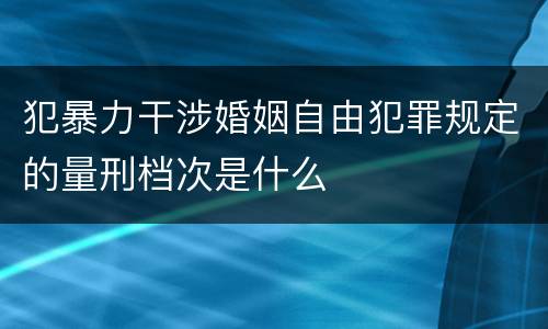 犯暴力干涉婚姻自由犯罪规定的量刑档次是什么