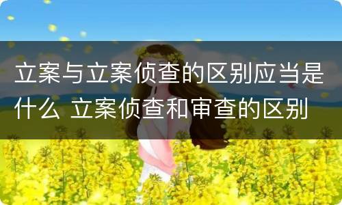 立案与立案侦查的区别应当是什么 立案侦查和审查的区别