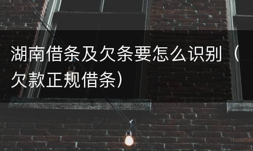 湖南借条及欠条要怎么识别（欠款正规借条）