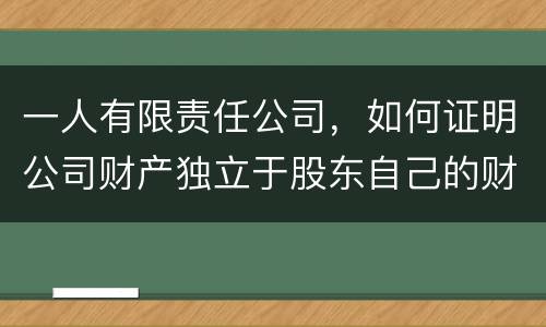 一人有限责任公司，如何证明公司财产独立于股东自己的财产
