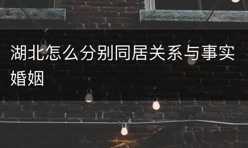 湖北怎么分别同居关系与事实婚姻