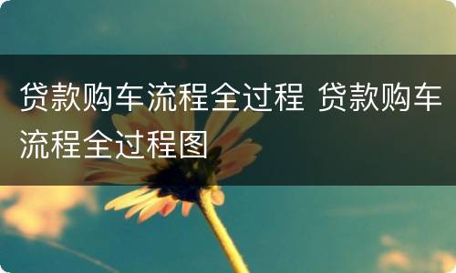 贷款购车流程全过程 贷款购车流程全过程图