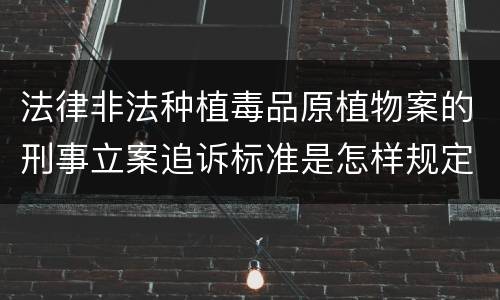 法律非法种植毒品原植物案的刑事立案追诉标准是怎样规定