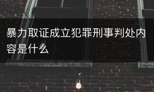 暴力取证成立犯罪刑事判处内容是什么