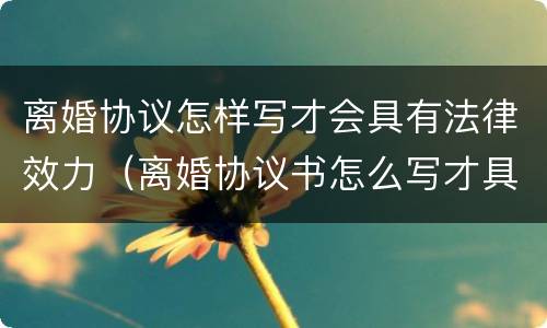离婚协议怎样写才会具有法律效力（离婚协议书怎么写才具有法律效应）