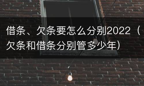 借条、欠条要怎么分别2022（欠条和借条分别管多少年）