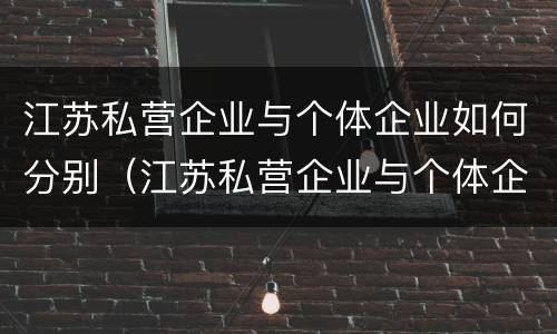 江苏私营企业与个体企业如何分别（江苏私营企业与个体企业如何分别交社保）