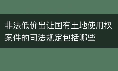 非法低价出让国有土地使用权案件的司法规定包括哪些