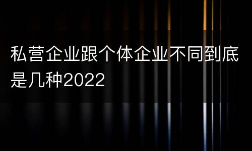 私营企业跟个体企业不同到底是几种2022