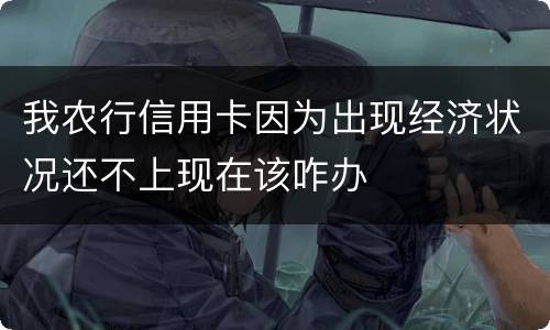 我农行信用卡因为出现经济状况还不上现在该咋办
